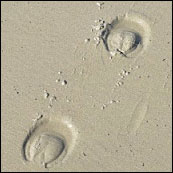 Demo image